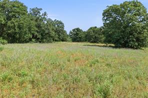3523 E Highway 199 - Photo 36