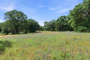 3523 E Highway 199 - Photo 37