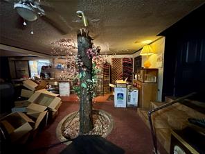 209 Cottonwood Street - Photo 14