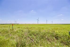 TBD County Road 431 - Photo 11