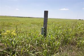 TBD County Road 431 - Photo 12
