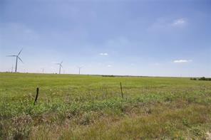 TBD County Road 431 - Photo 13
