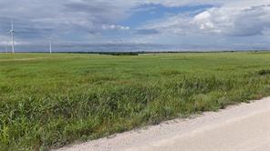 TBD County Road 431 - Photo 14