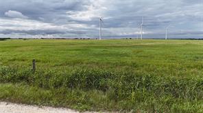TBD County Road 431 - Photo 15