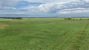 TBD County Road 431 - Photo 16