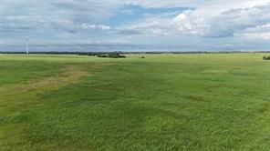 TBD County Road 431 - Photo 17