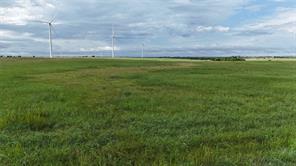TBD County Road 431 - Photo 18