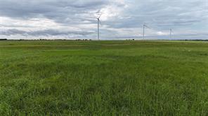 TBD County Road 431 - Photo 20
