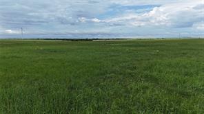 TBD County Road 431 - Photo 21