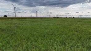 TBD County Road 431 - Photo 25