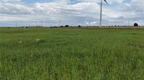 TBD County Road 431 - Photo 26