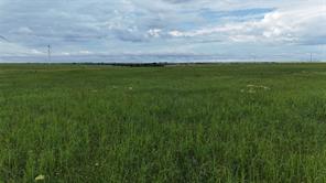 TBD County Road 431 - Photo 27