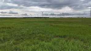 TBD County Road 431 - Photo 29