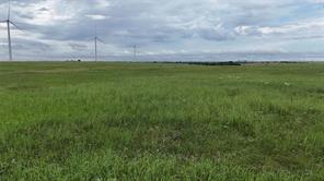 TBD County Road 431 - Photo 30