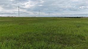 TBD County Road 431 - Photo 31