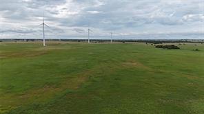 TBD County Road 431 - Photo 32