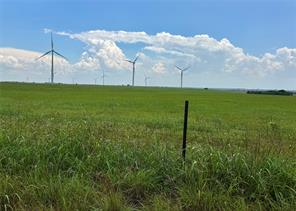TBD County Road 431 - Photo 7