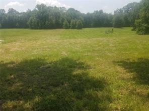 275 Indian Gap - Photo 14