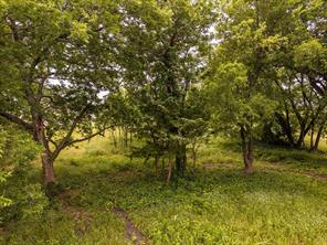 TBD County Road 1119 - Photo 2