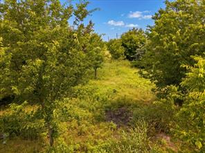 TBD County Road 1119 - Photo 3