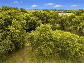 TBD County Road 1119 - Photo 4