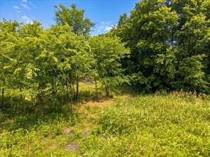 TBD County Road 1119 - Photo 8