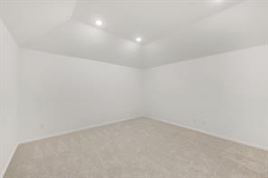 1113 Hackberry Lane - Photo 33
