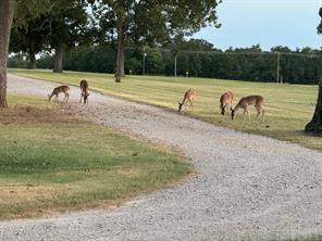 9748 County Road 1200 - Photo 28