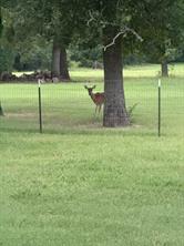 9748 County Road 1200 - Photo 30