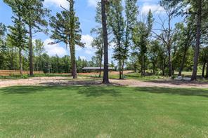 17404 County Road 479 - Photo 37