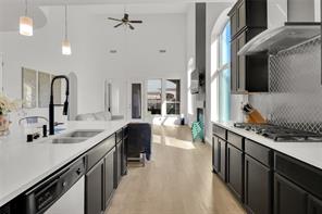 4209 Whispering Willow Way - Photo 12