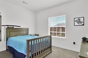 4209 Whispering Willow Way - Photo 25