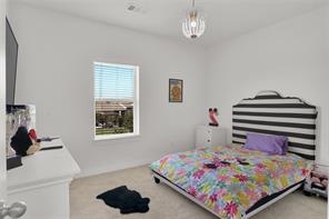 4209 Whispering Willow Way - Photo 26
