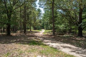 TBD Pvt. Rd 8079 Road - Photo 1