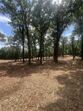 0 County Rd 2980 - Photo 1