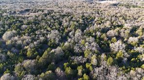 TBD County Road 890 - Photo 1