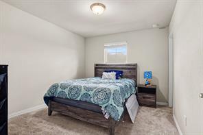 2512 Real Quiet Drive - Photo 10
