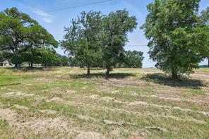 8501 Heron Drive - Photo 16