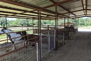 3900 County Road 304a - Photo 27