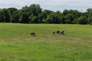 3900 County Road 304a - Photo 39