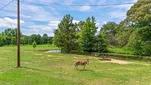 1122 County Road 3750 - Photo 6