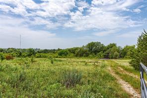 2075 County Road 151 - Photo 2