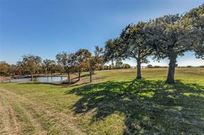 15675 County Road 4024 - Photo 13