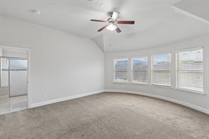 412 Smokebrush Street - Photo 13