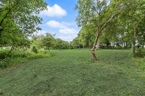 11167 Plainview Road - Photo 40