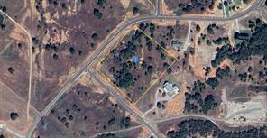 184 Bear Cat Court - Photo 1
