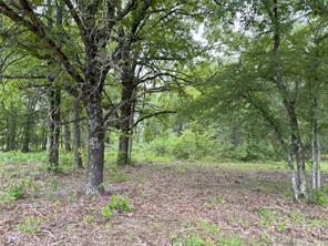 LOT 25 Rains County Road 2610 - Photo 1