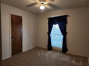 1201 Dandelion Drive - Photo 23