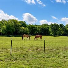 835 Wood Hollow Drive - Photo 33
