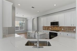 1117 Apache Lake Drive - Photo 8